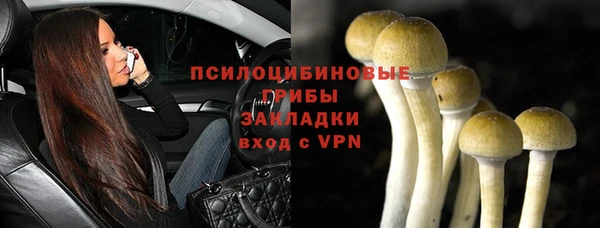 apvp Вяземский