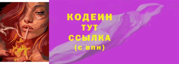 apvp Вяземский