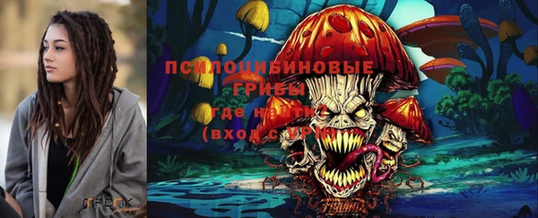 apvp Вяземский