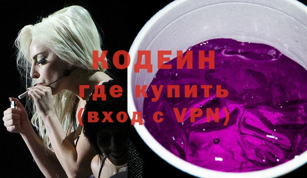 apvp Вяземский