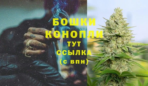 СК Вязники