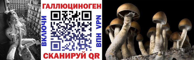 Псилоцибиновые грибы MAGIC MUSHROOMS  Чернушка 
